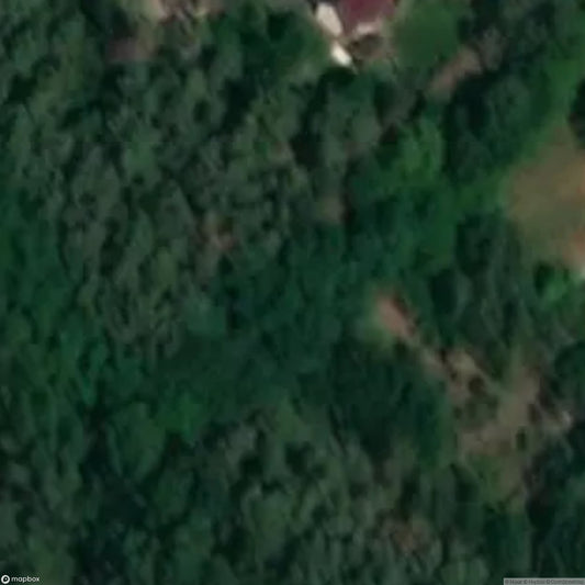 Forest Pool Jerichow [DEU]