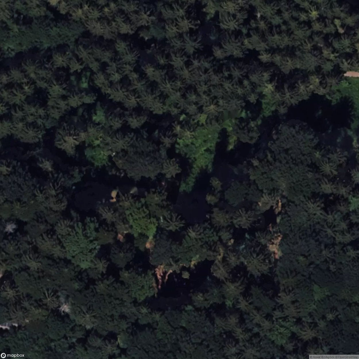 House of the Artist Helmut Braig [DEU]