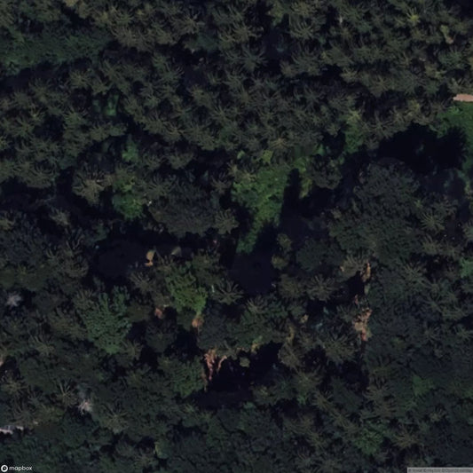 House of the Artist Helmut Braig [DEU]