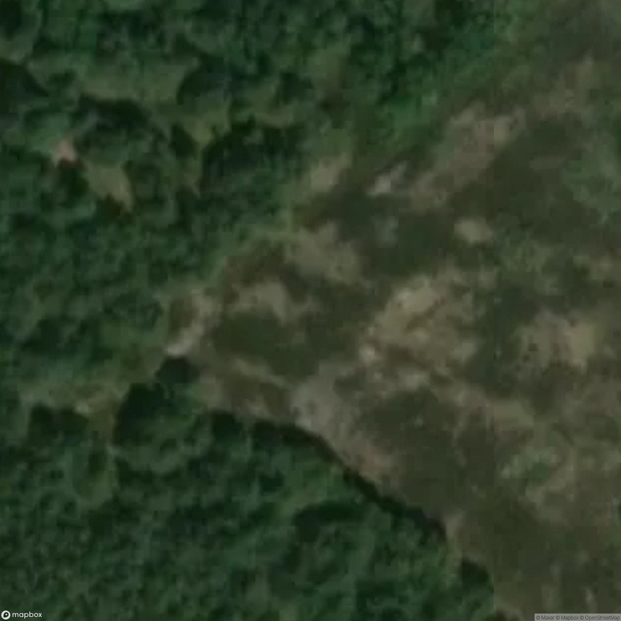 Training Area Sophienhof near TangerhÃ¼tte [DEU]