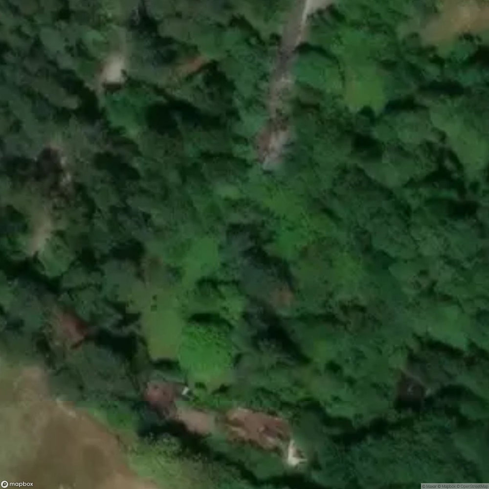 Badzyn Site [POL] #33268