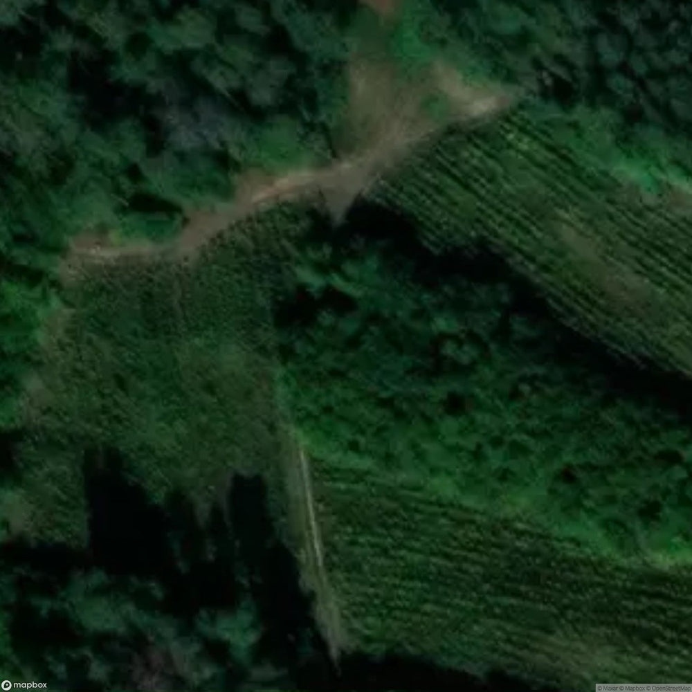 Site Ruins Of St Martin S Church [POL] #33538