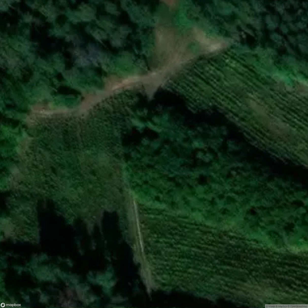 Site Ruins Of St Martin S Church [POL] #33538