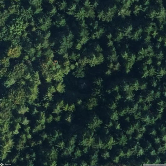 Stellichte Mausoleum [DEU]