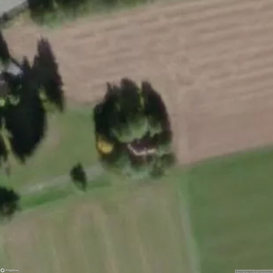 SpongeBob House [DEU]