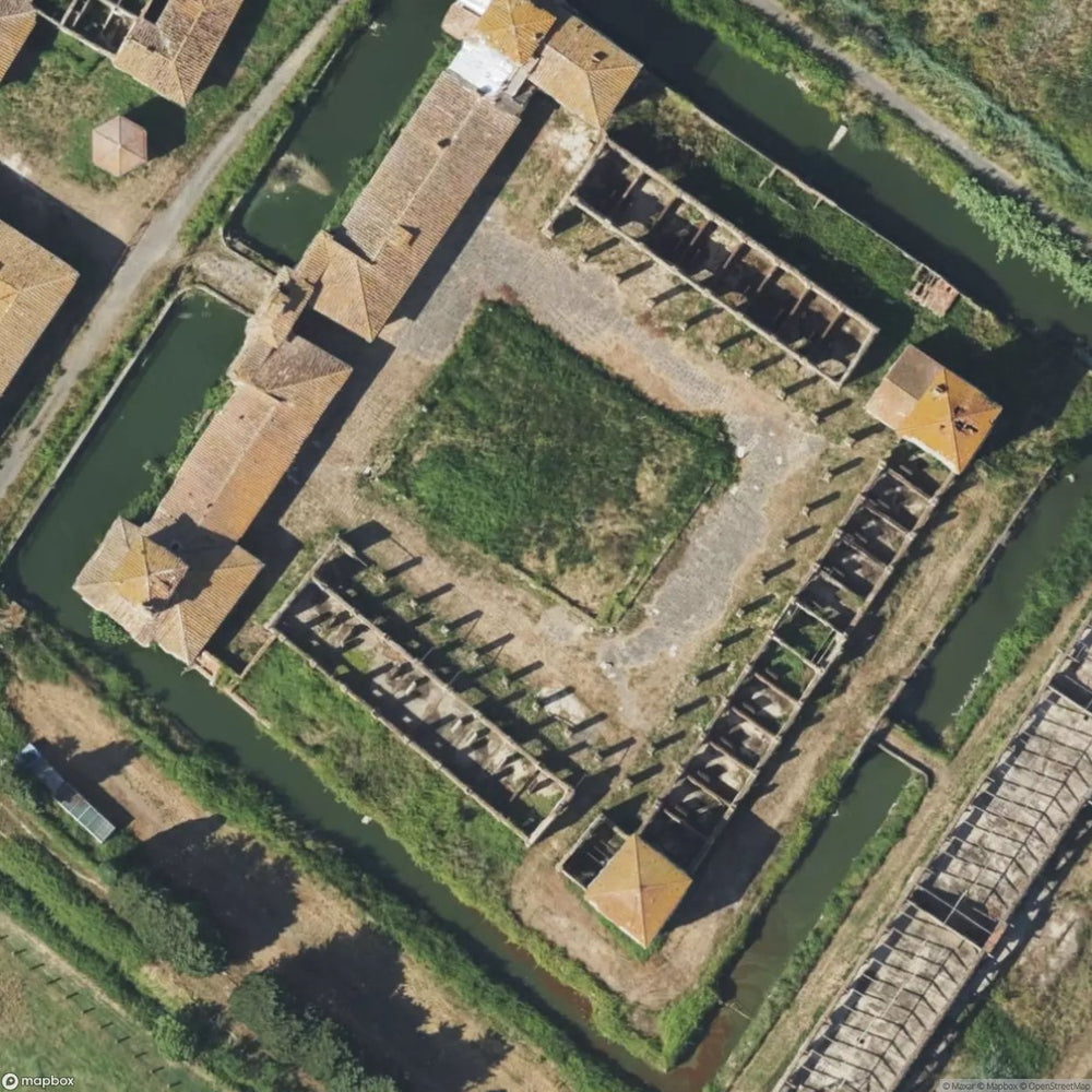 Medici Farm [ITA] #11159