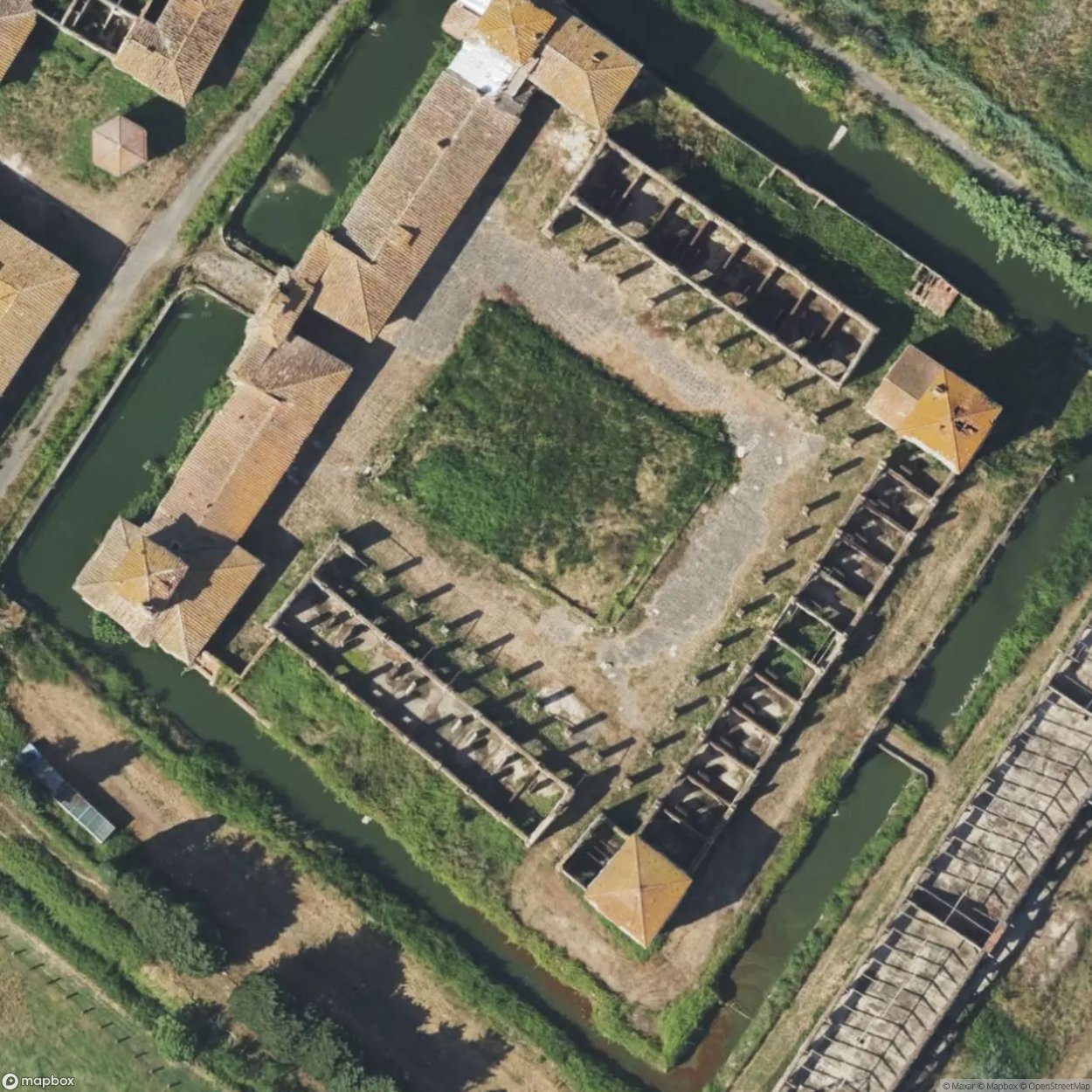 Medici Farm [ITA] #11159