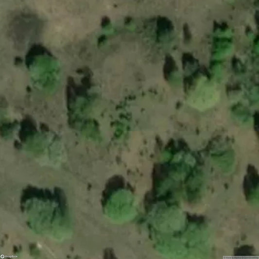 Ostwall Bunker [POL]