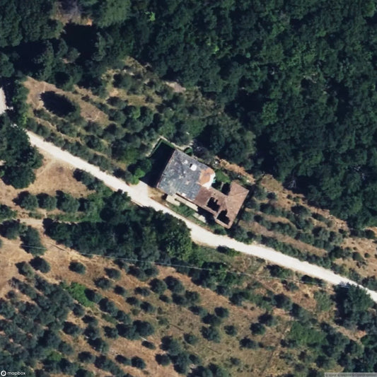 Birdcage of Pappagallo [ITA]