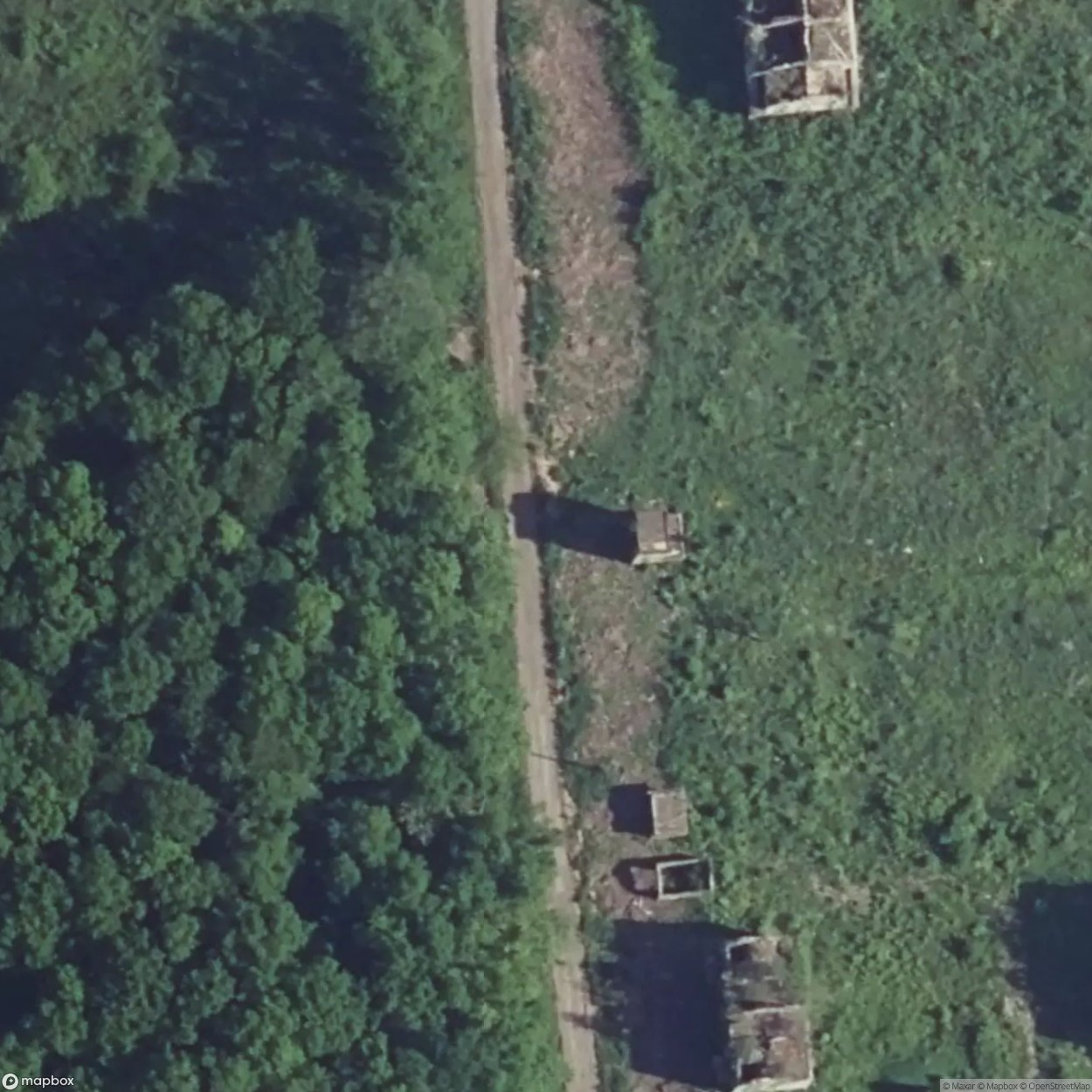 Perdu dans les Bois [FRA]