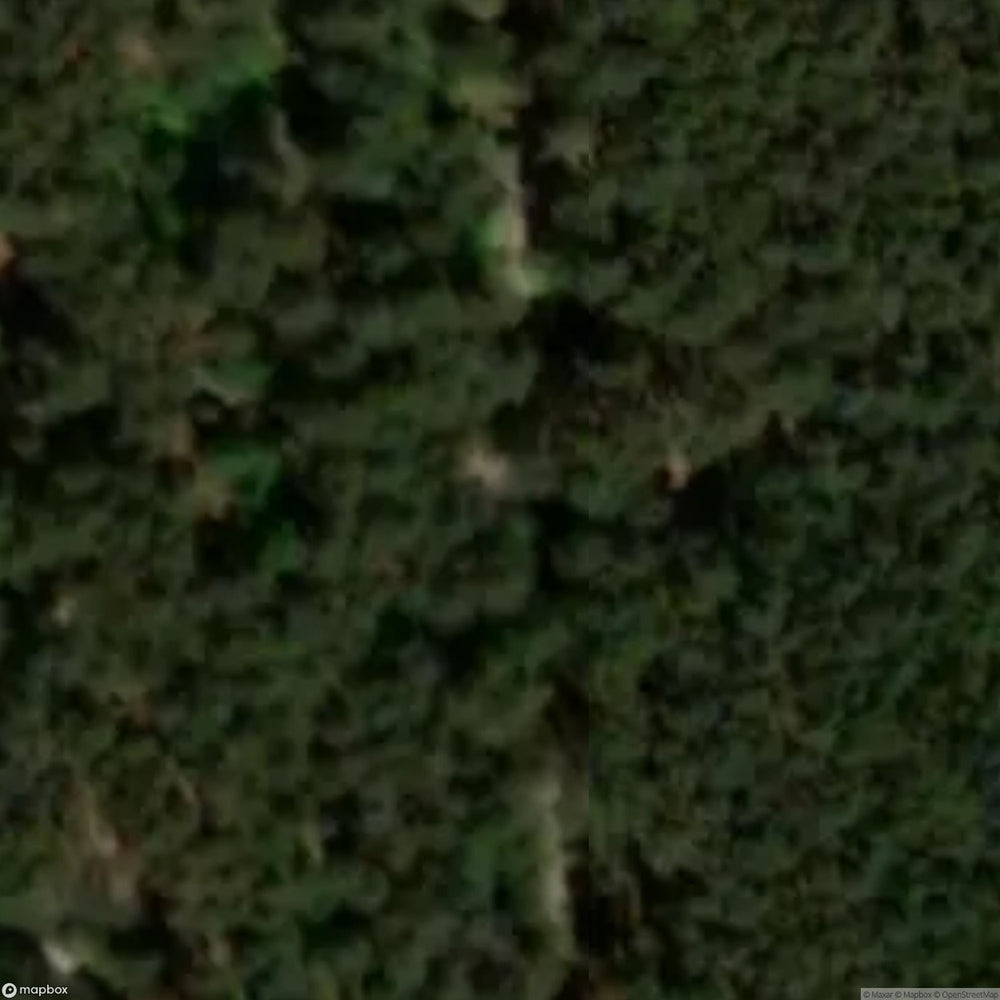 Askarzew Site [POL] #33284