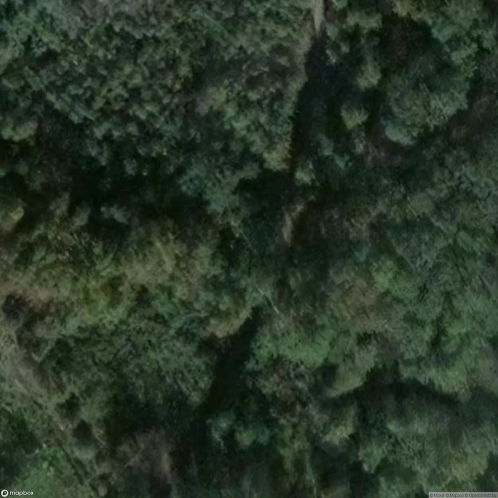 Sacred Oak Natural Monument [DEU] #11820