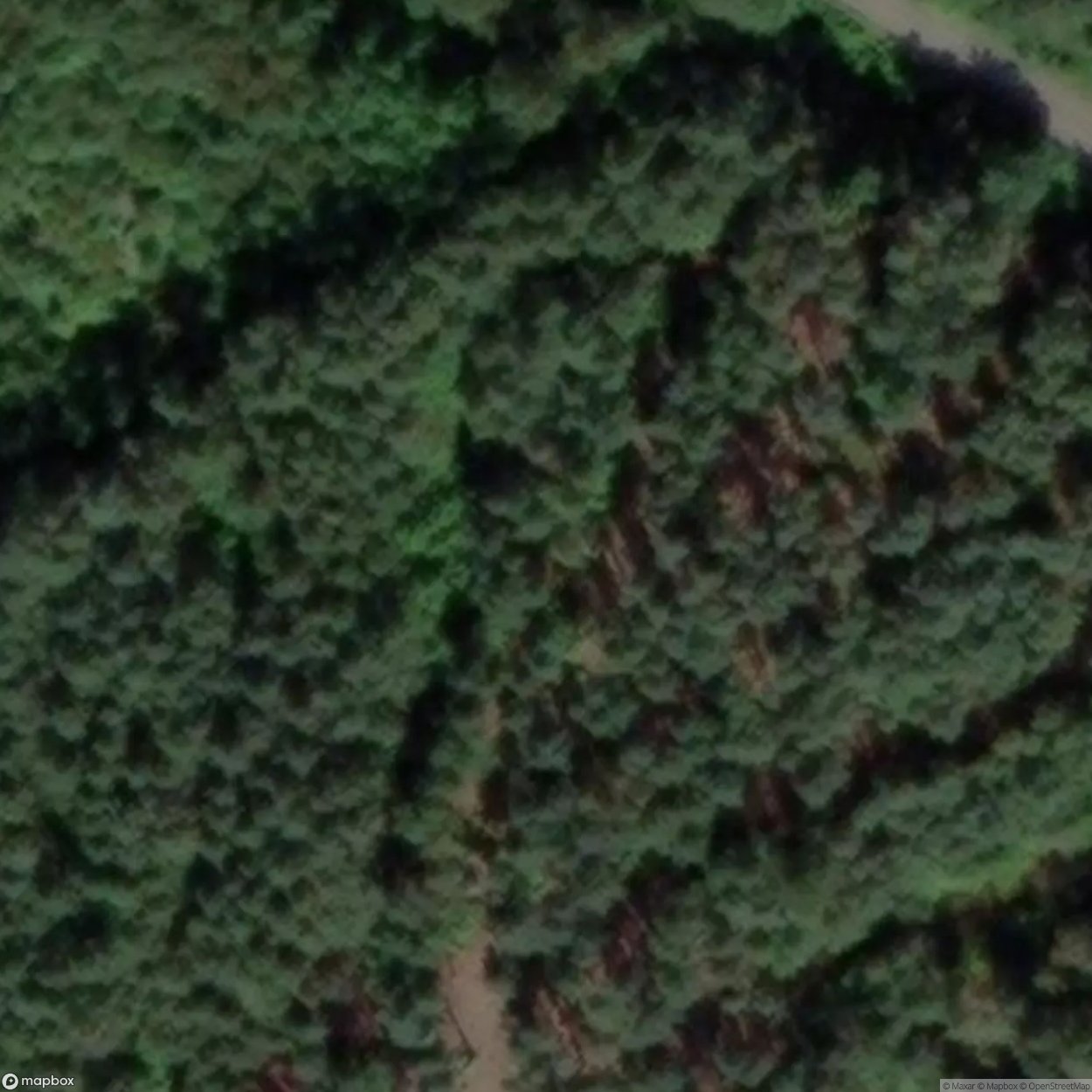 Woodside Colliery [GBR] #06686