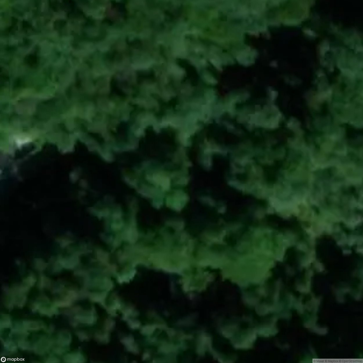 Pearls of Decay [BEL]