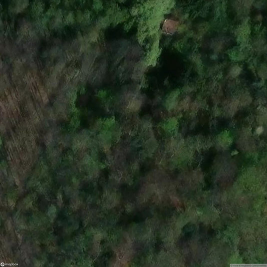 Yellow Cars [BEL] #14839