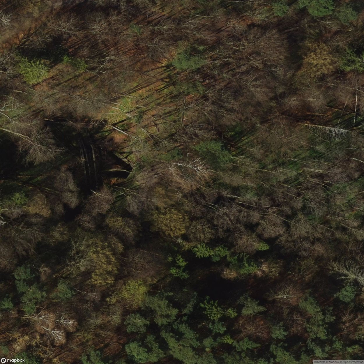 Rail Infrastructure Pre War Railway Culvert [POL] #29782