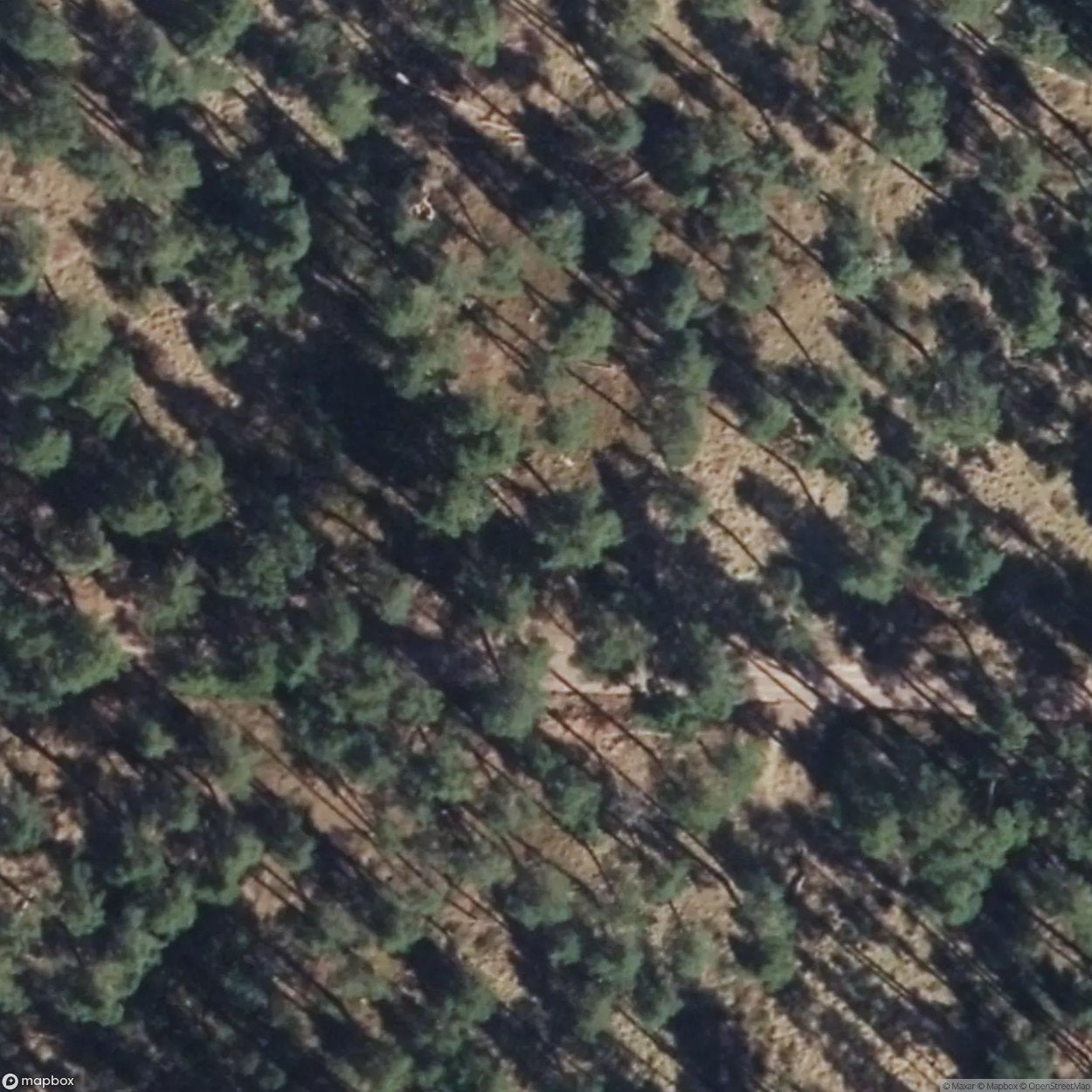 Ammunition Depot GSSD in Dannenwalde [DEU]