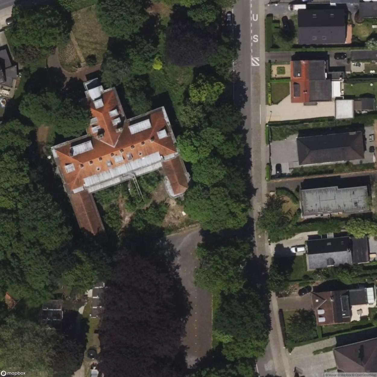 School Squirrel [BEL]