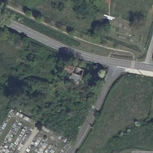 House White Weed / House White Weed [FRA]