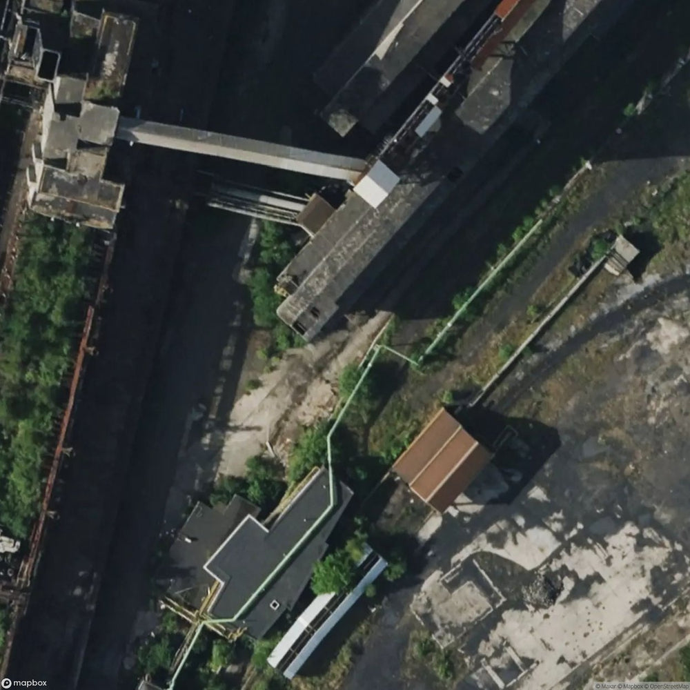 Castle Ter Borght Or New Court [BEL] #18556