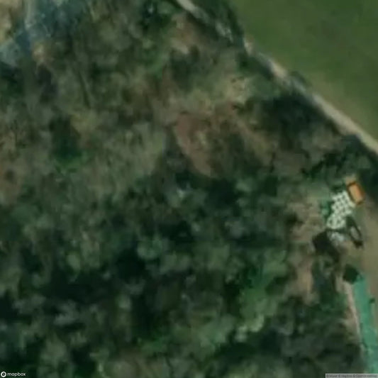 Freight Yard L113 [DEU]