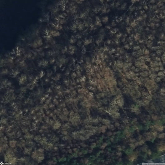 Bunker Remains [DEU]