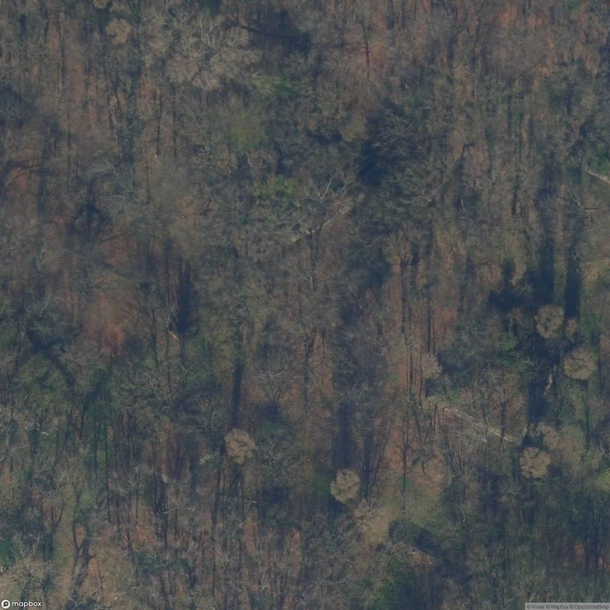 Bunker CPLX100 [NLD]