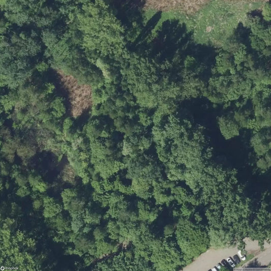 Swimming Pool 4 [POL]