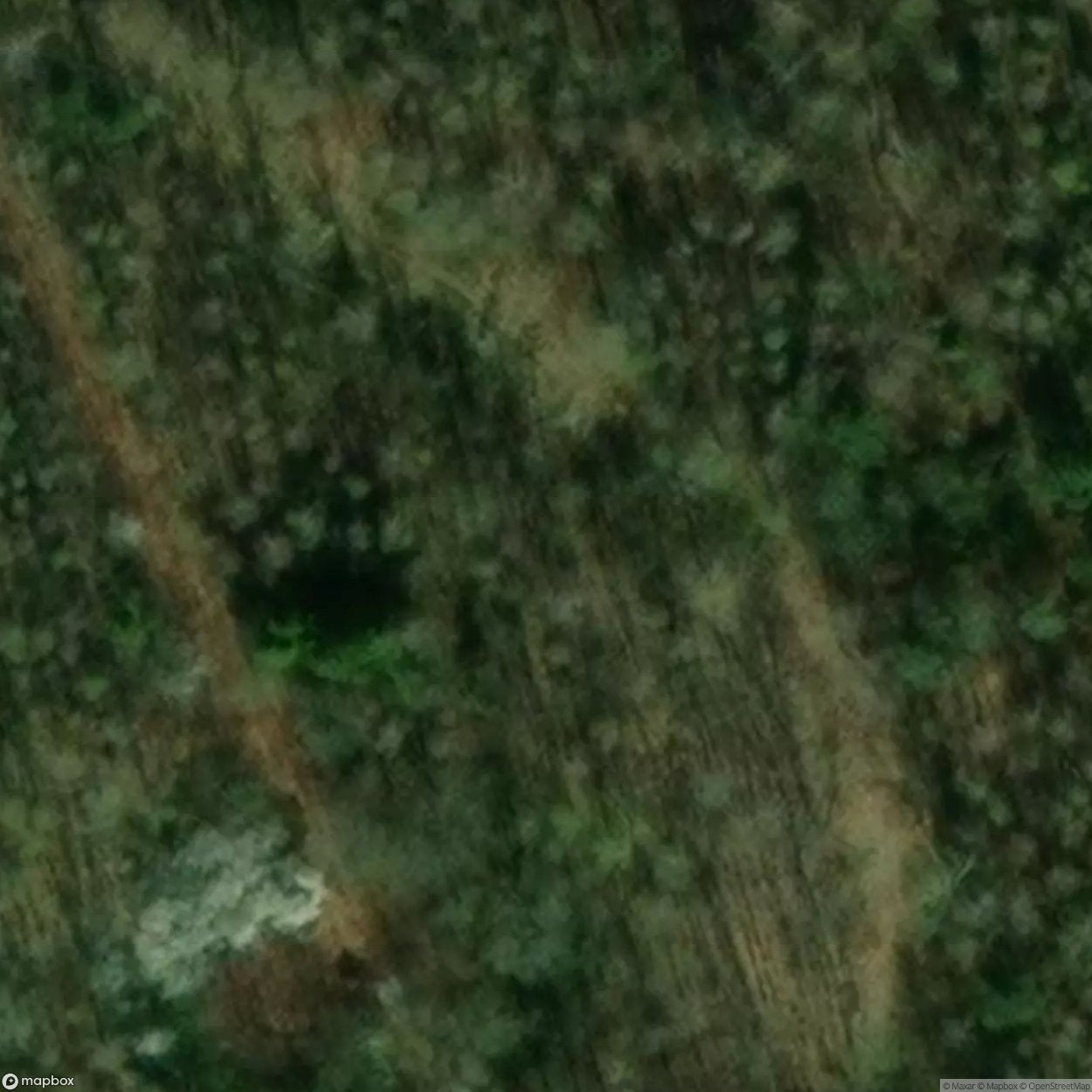Abandoned Air Defense Site Babido [POL] #32101