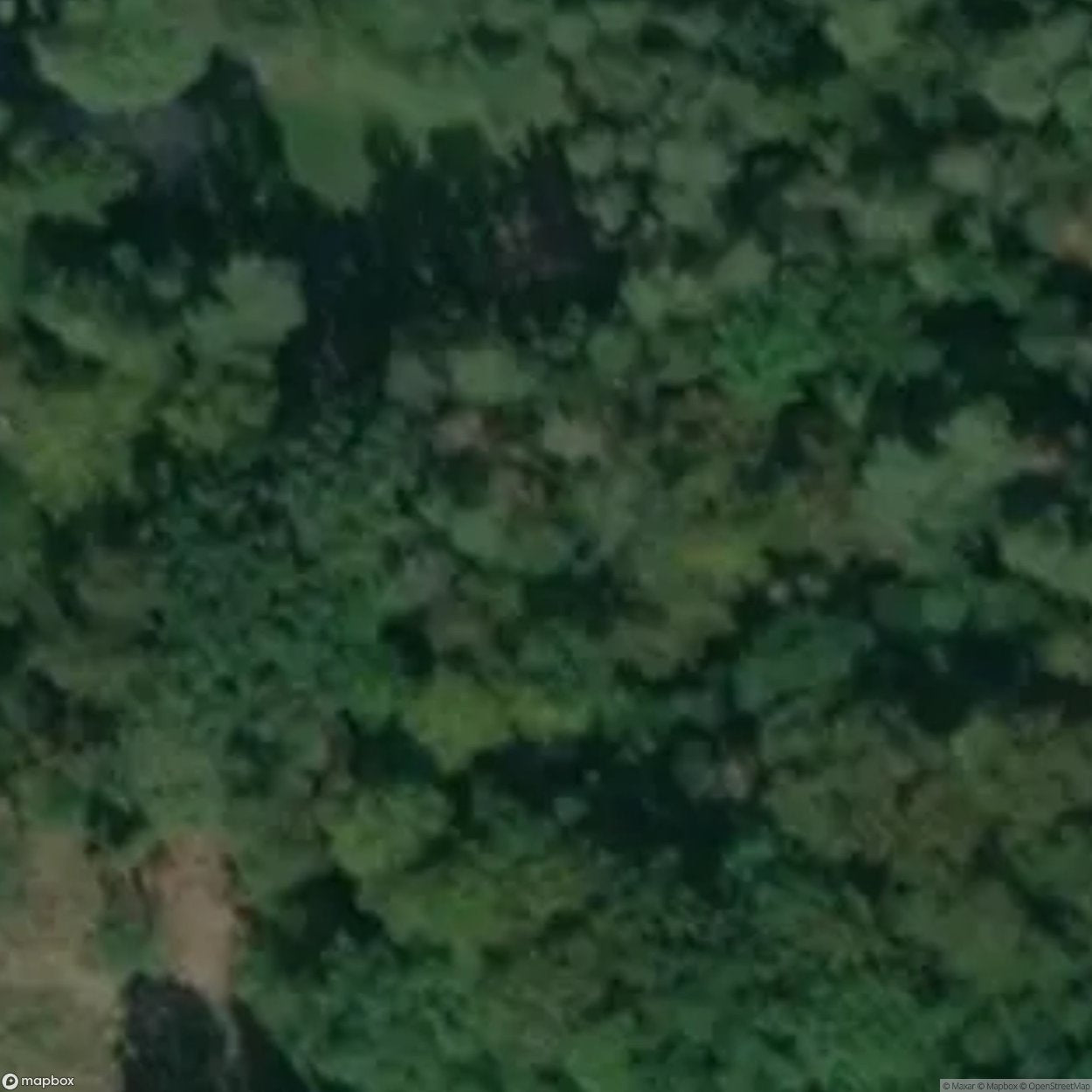 Dankow Site [POL] #33365