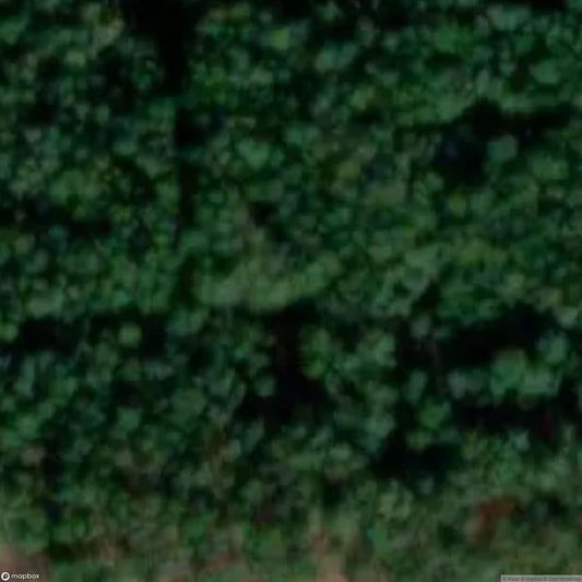 Chalet White SpiderV [BEL]