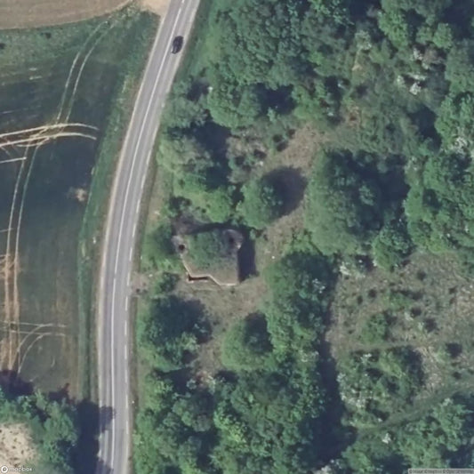 Maginot Line Plant [FRA]