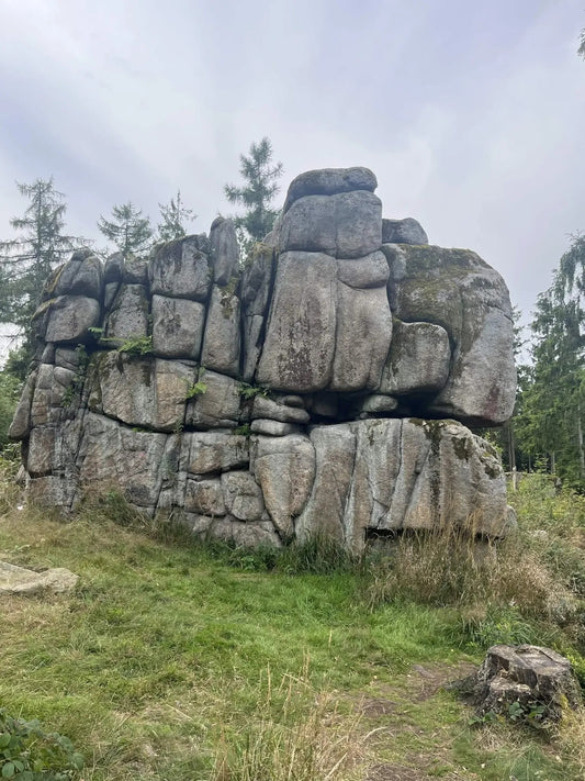 Summer Camp Pond [DEU] #14099