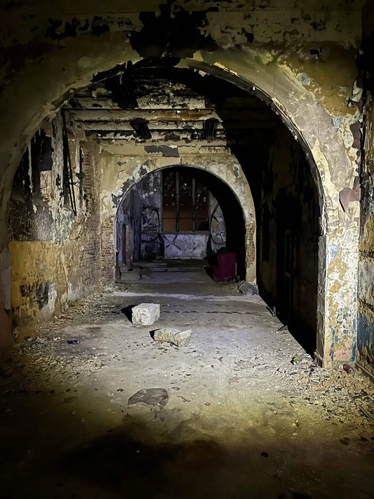 Pritzer Face [BEL] #18693