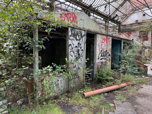 Woodpacker [BEL] The Urbex Factory