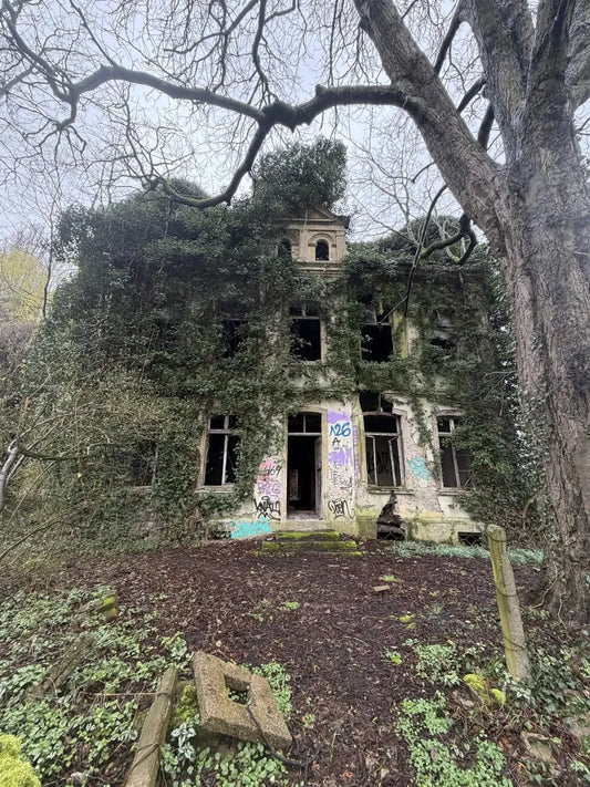 Muhr Villa [DEU] #01883