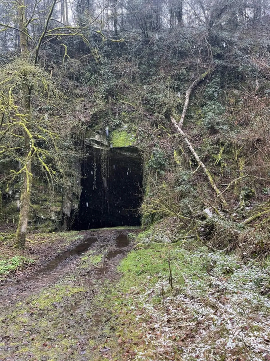 The Ice Cave [BEL] #12024